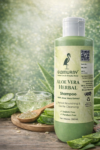 Herbal Aloe Vera Shampoo | Nourishes Scalp & Hair | Reduces Dryness | Soft & Shiny Hair | For Men & Women - Image 2