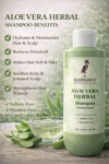 Herbal Aloe Vera Shampoo | Nourishes Scalp & Hair | Reduces Dryness | Soft & Shiny Hair | For Men & Women - Image 3